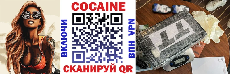 Кокаин FishScale  купить наркотики цена  Дагестанские Огни 