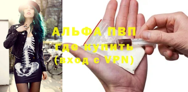 PSILOCYBIN Беломорск