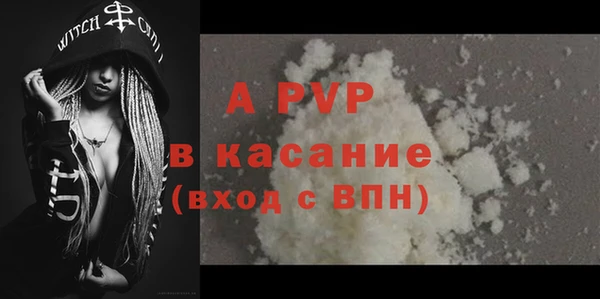 ПСИЛОЦИБИНОВЫЕ ГРИБЫ Строитель